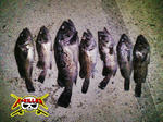 071023-02.JPG