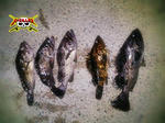 071030-02.JPG