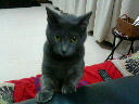 200609282220000.jpg