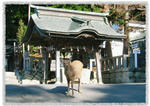 kinka_p06.jpg