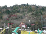 P1110449_.jpg