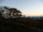 P1110453_.jpg