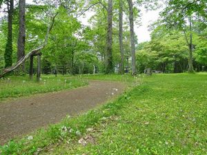 20120313005.jpg