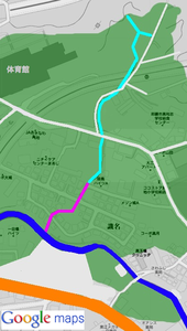 真地