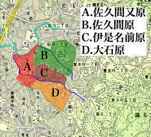 大道