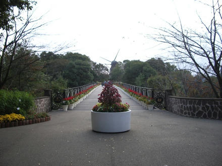 太陽の橋