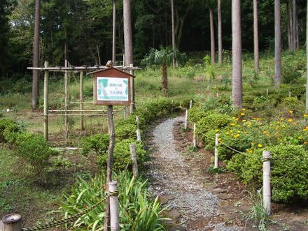 箱根の森おかださんぽ道