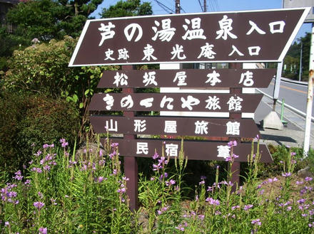 カクトラノオの咲く案内板