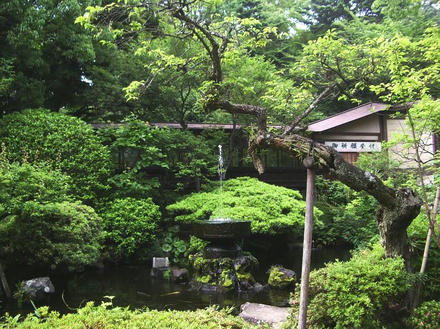 報徳二宮神社神池