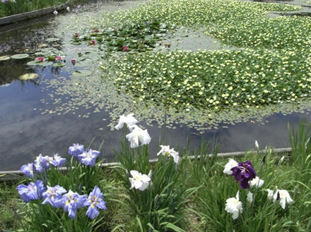 修景池