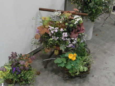 京成バラ園芸の寄せ植え