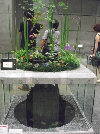 フラワードリーム2011大型10