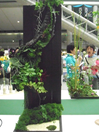 フラワードリーム2011中型2