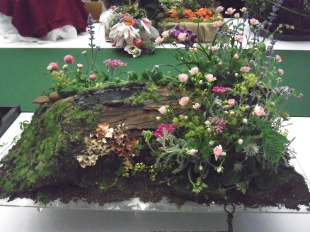 フラワードリーム2011中型5