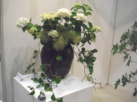 フラワードリーム2011小型3