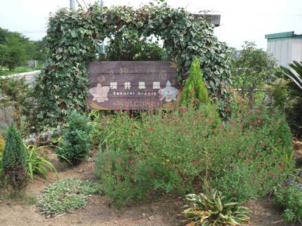 櫻井農園の看板