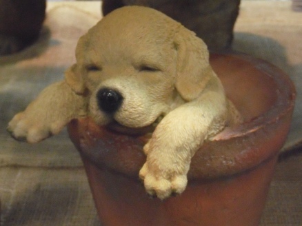 GARDEX5キャラ商品1