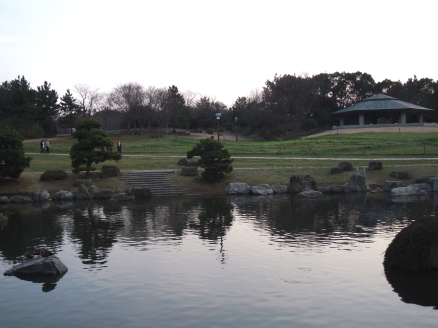 葛西臨海公園の蓮池