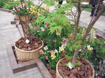 シンボルフラワーの花壇2