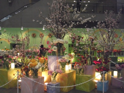 シンボルフラワーサクラ