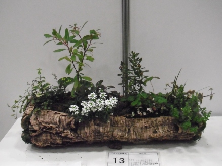 手づくり作品コンテスト1