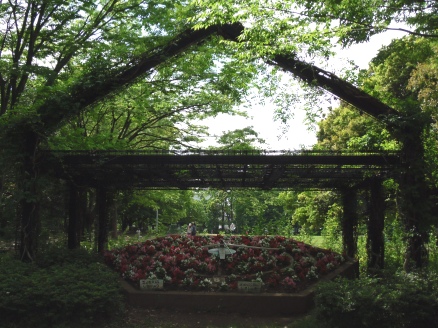 行田公園の花時計2