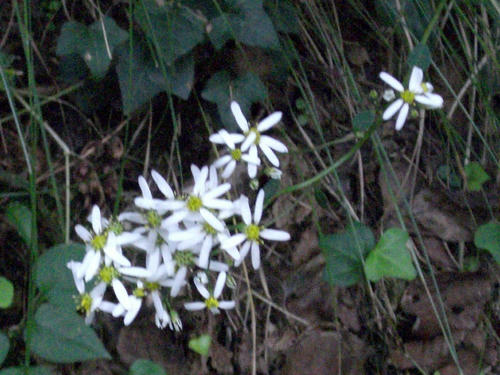 PICT0006.jpg