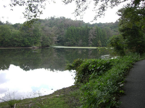 PICT0007.jpg