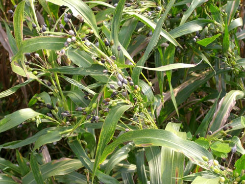 PICT0012.jpg
