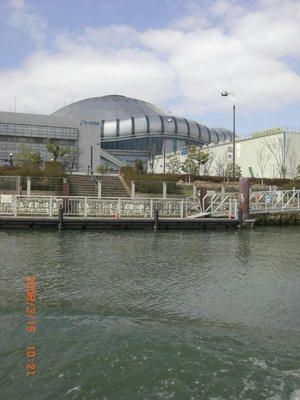 CIMG0453.jpg