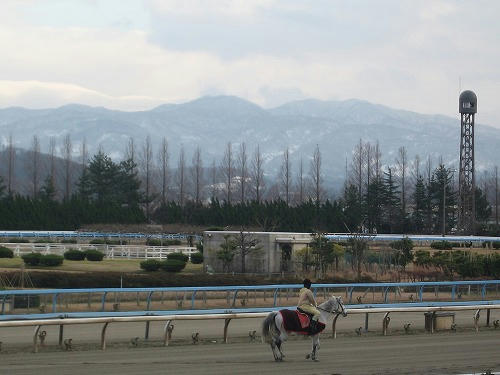 金沢競馬場の様子