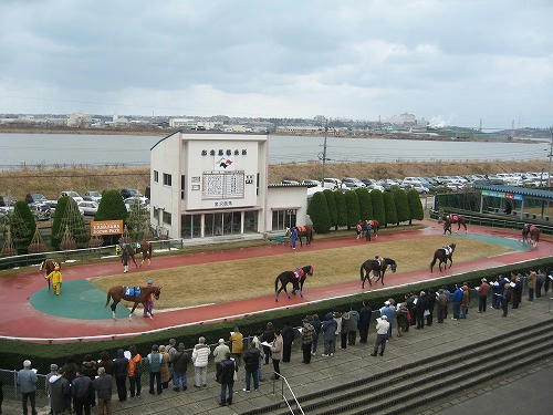 金沢競馬場のパドックを見下ろす