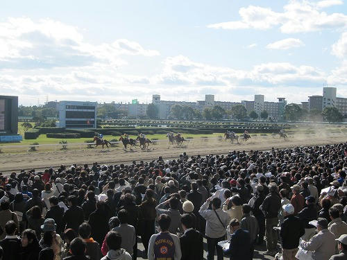 名古屋競馬