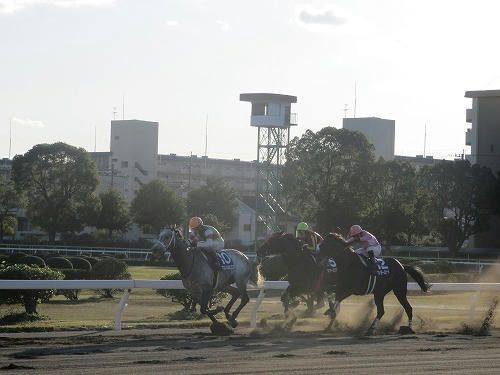 名古屋競馬場