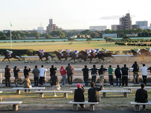 名古屋競馬