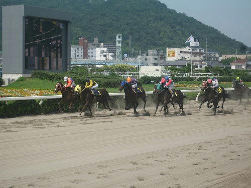 姫路競馬場