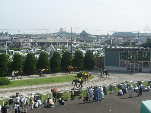 姫路競馬場