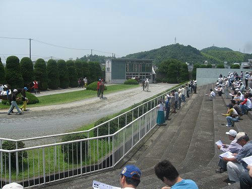 姫路競馬場