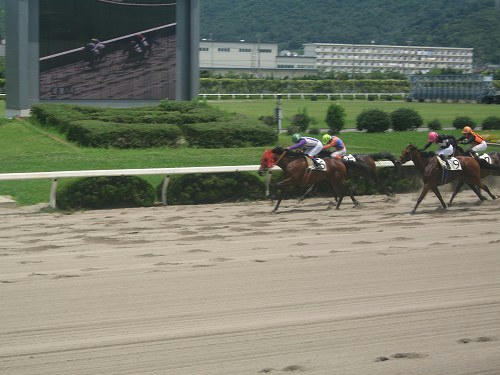 姫路競馬場