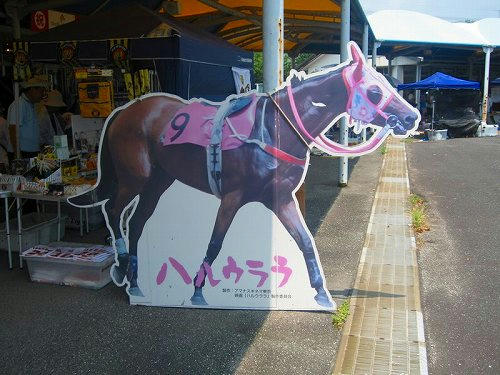 高知競馬場