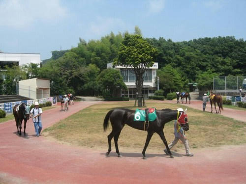 高知競馬場