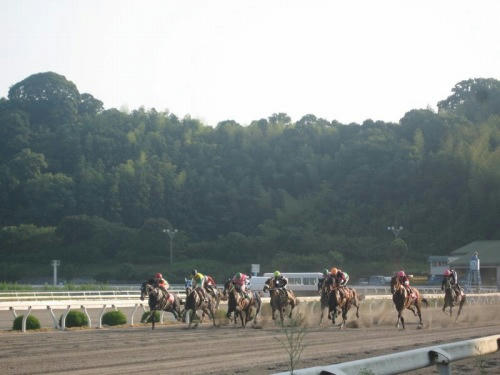 高知競馬場
