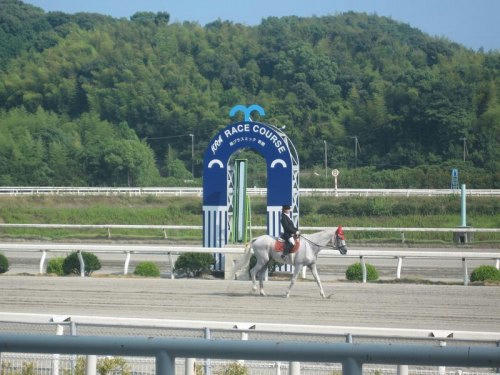 高知競馬場