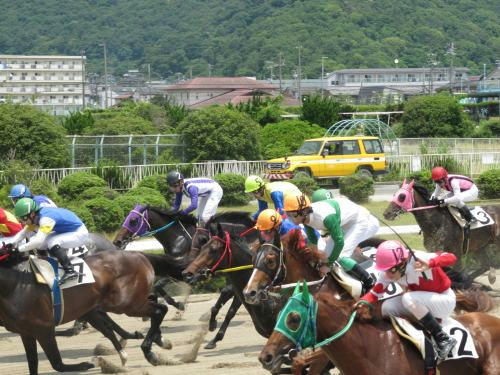 姫路競馬場