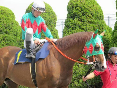 姫路競馬場