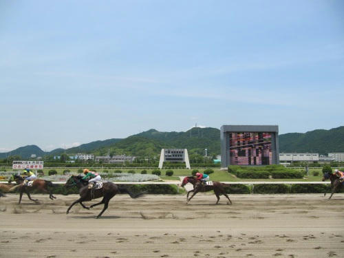 姫路競馬場