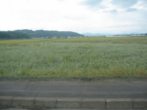 旭川競馬場