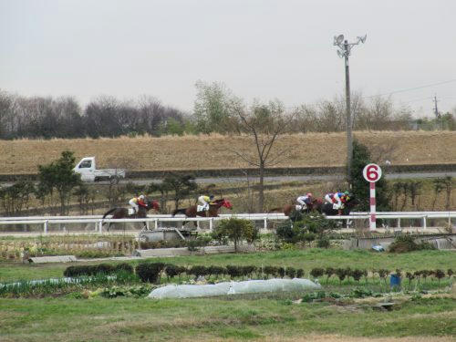 笠松競馬場　コース