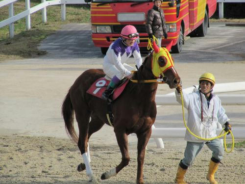 笠松競馬場　ラブミーチャン