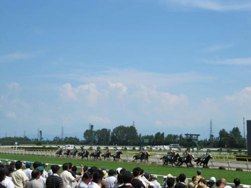 新潟競馬場